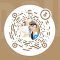 你适合学什么专业
