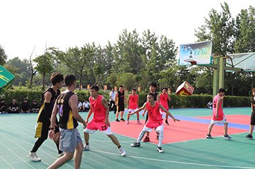 你适合学什么专业